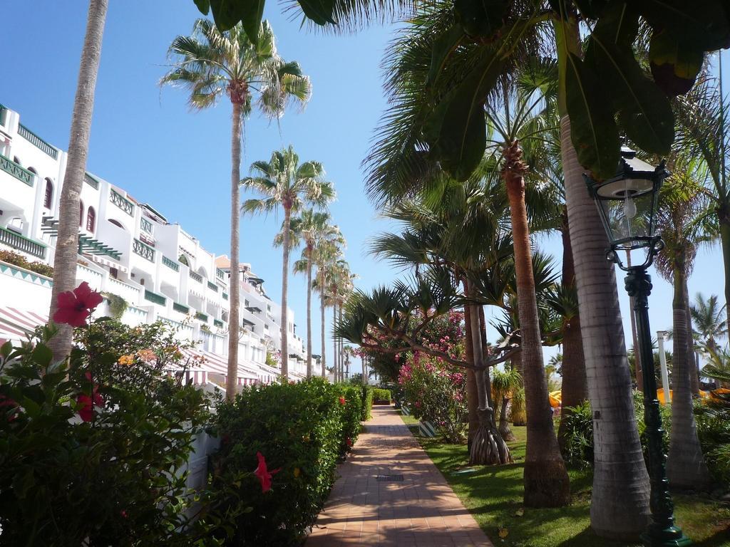 4 Santiago Playa Tenerife Estudio Playa de las Americas  Room photo